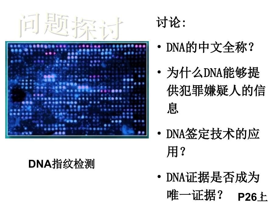 第三节遗传信息的携带者核酸_第2页