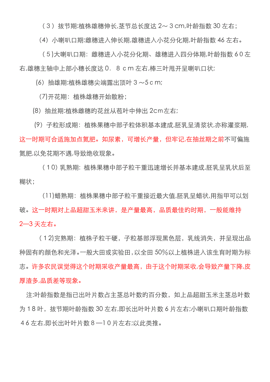 玉米生长过程_第3页