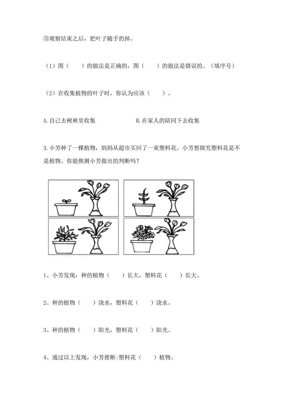 教科版科学一年级上册第一单元《植物》测试卷及完整答案一套.docx_第5页