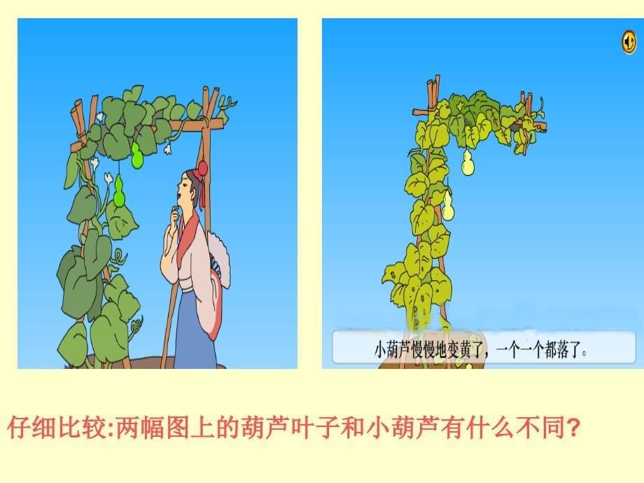 我要的是葫芦黄琳_第5页