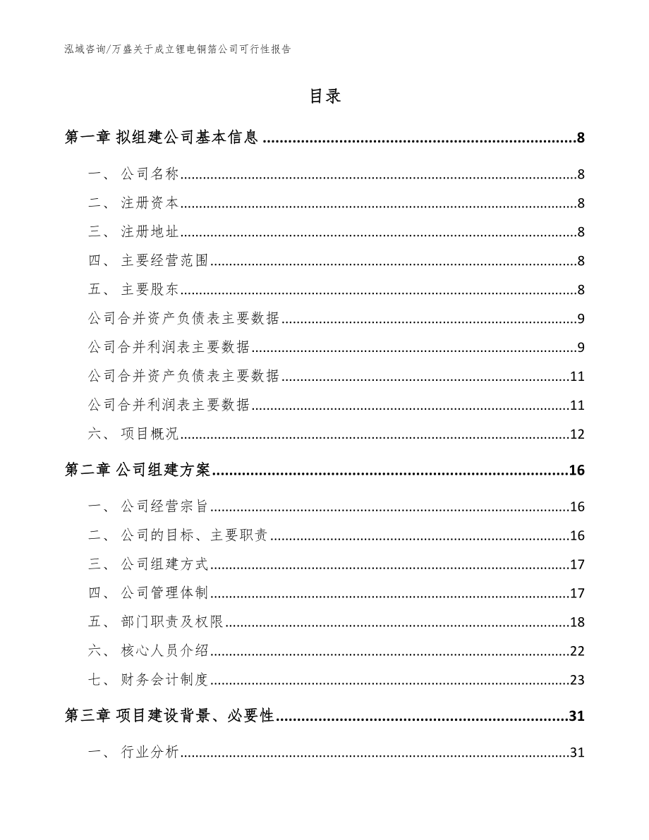 万盛关于成立锂电铜箔公司可行性报告【参考范文】_第2页