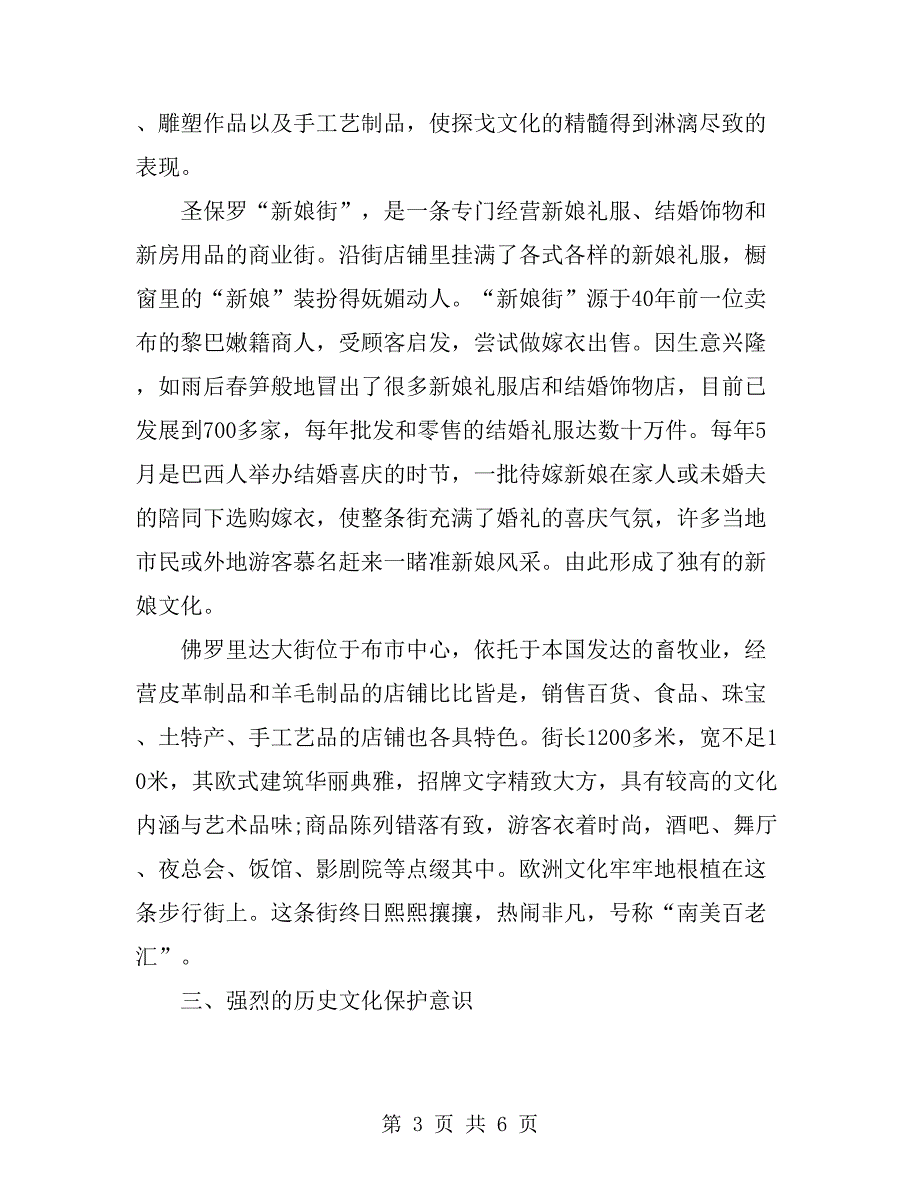 巴西、阿根廷商业特色街考察报告范本_第3页