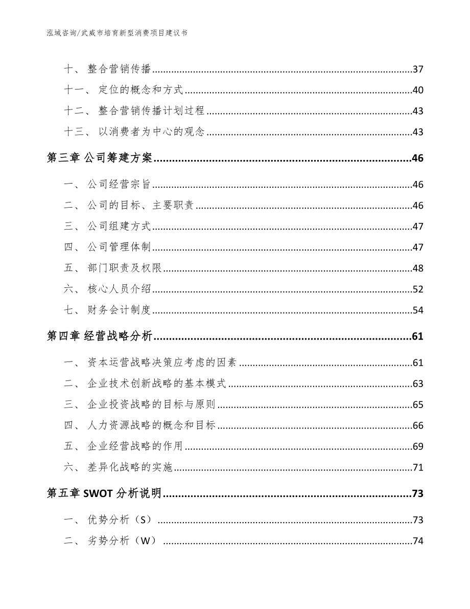 武威市培育新型消费项目建议书【范文】_第3页