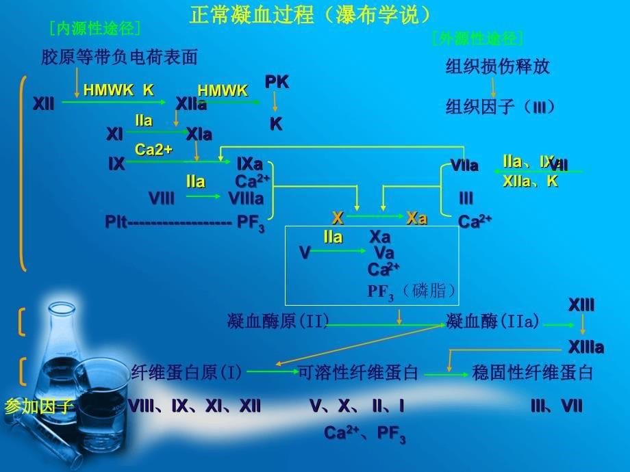 抗凝药物的认识PPT课件_第5页