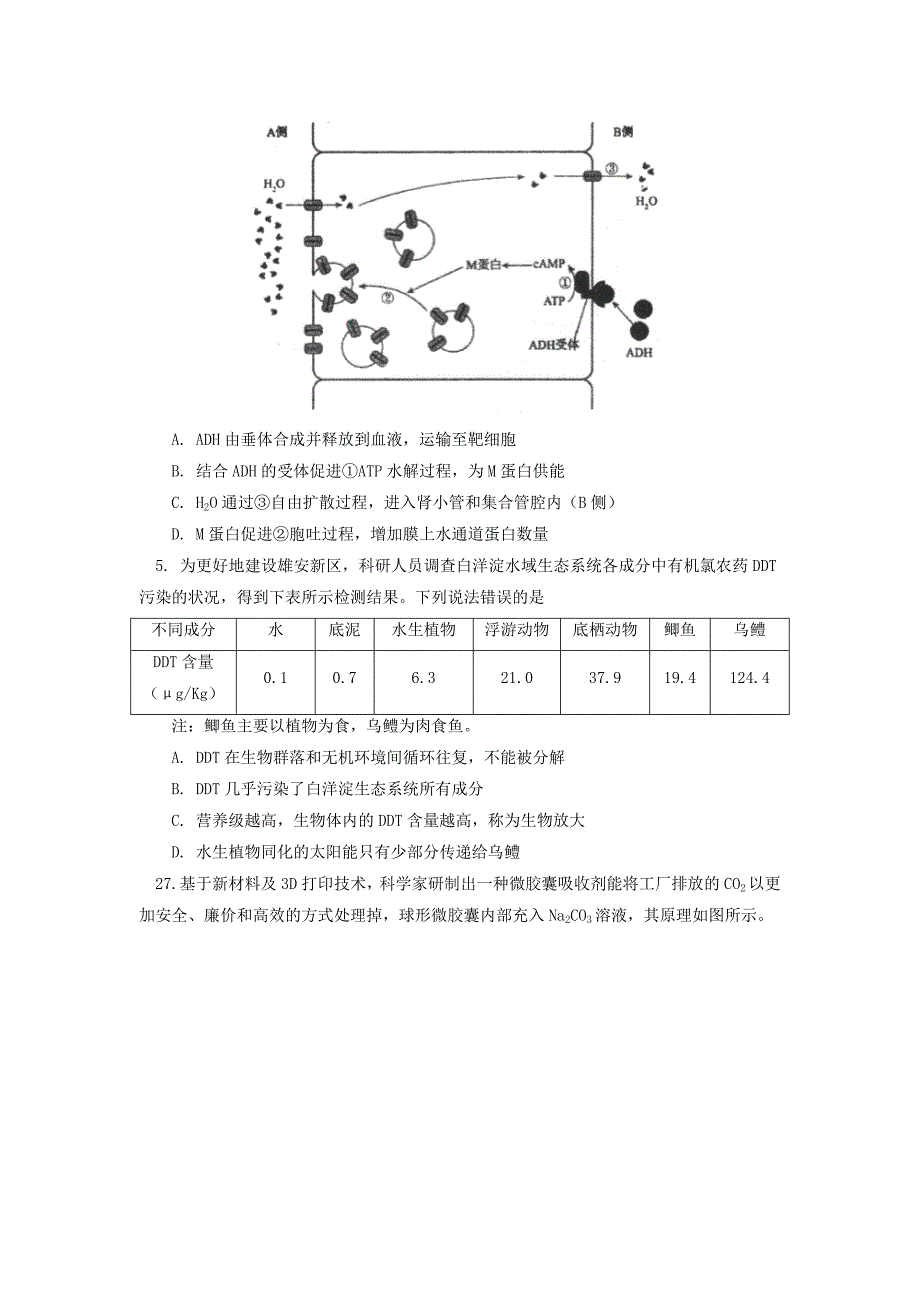 北京市101中学2018届高三生物第三次模拟考试试题_第2页