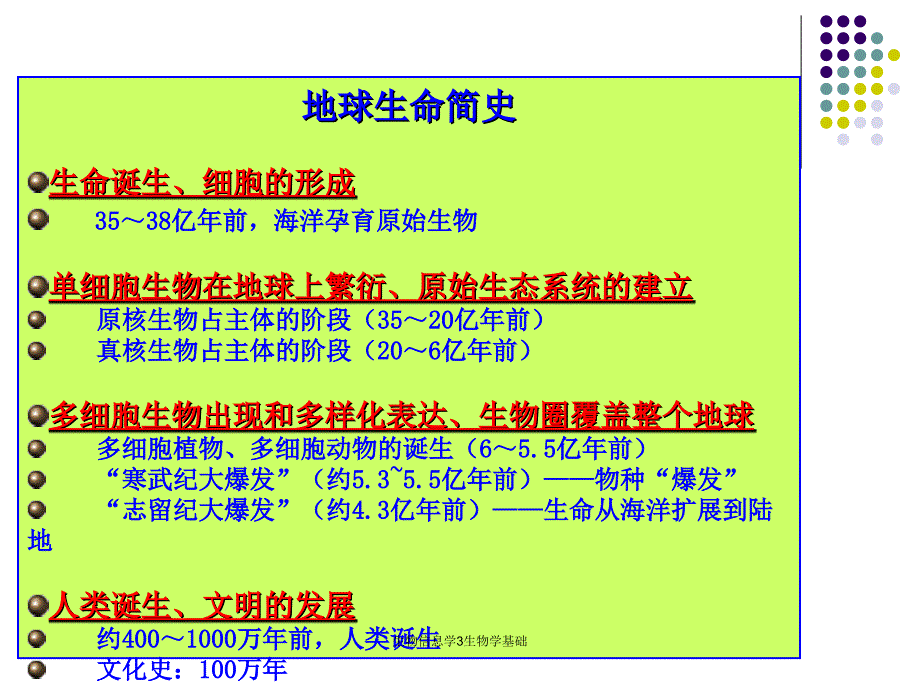 生物信息学3生物学基础课件_第4页