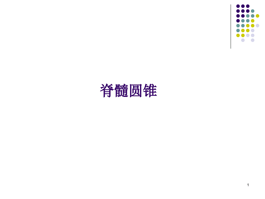 脊髓圆锥PPT课件_第1页