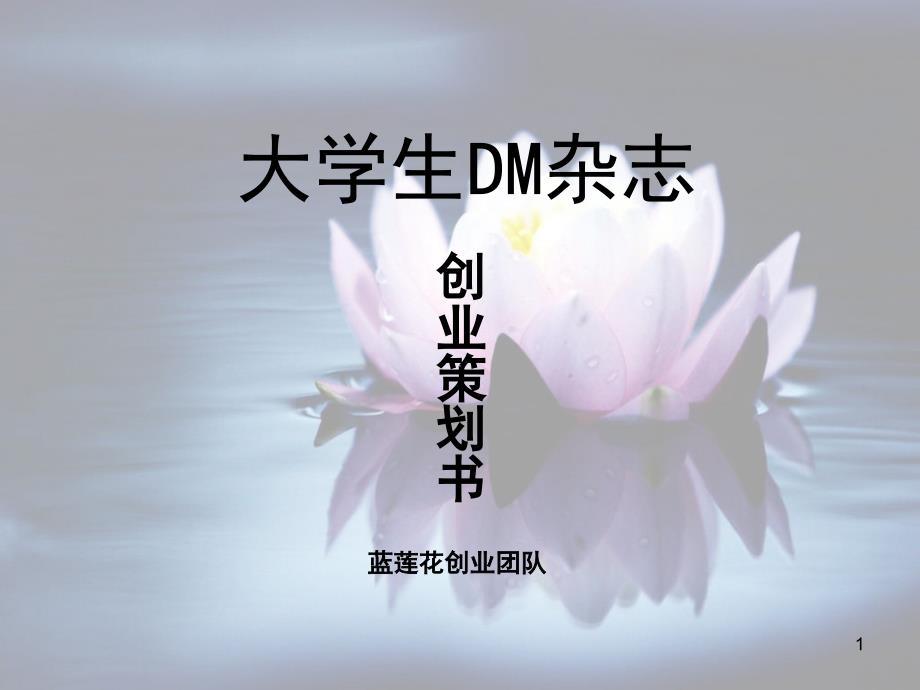 大学生DM杂志创业策划PPT优秀课件_第1页