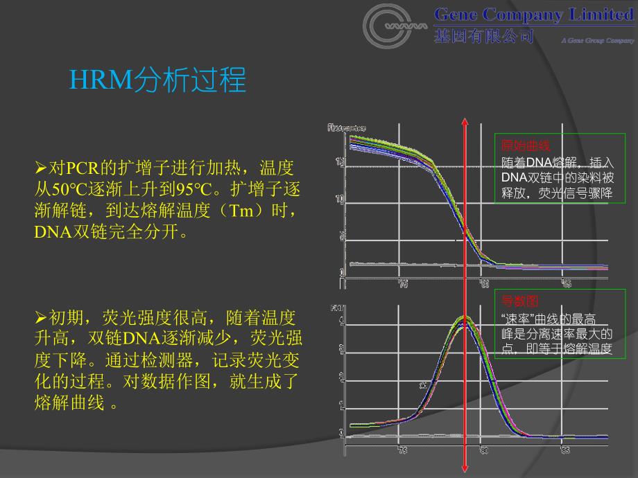 HRM应用实验设计及结果分析_第4页