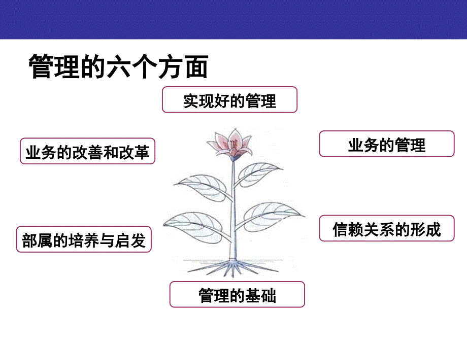 MTP管理课程(课堂PPT)课件_第3页