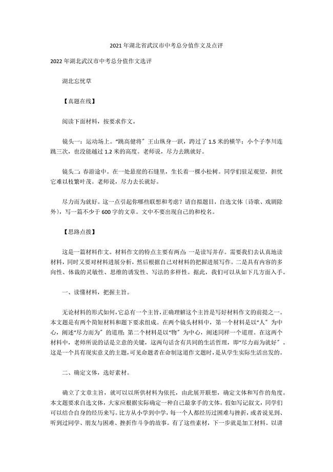 2021年湖北省武汉市中考满分作文及点评