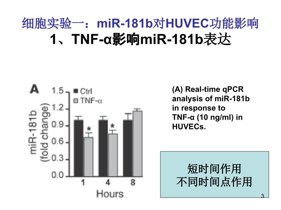 miR-181b与炎症关系实验解读ppt课件_第3页