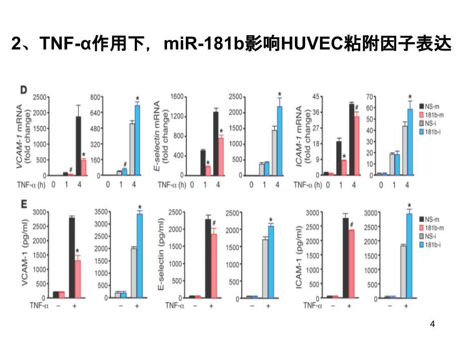 miR-181b与炎症关系实验解读ppt课件_第4页