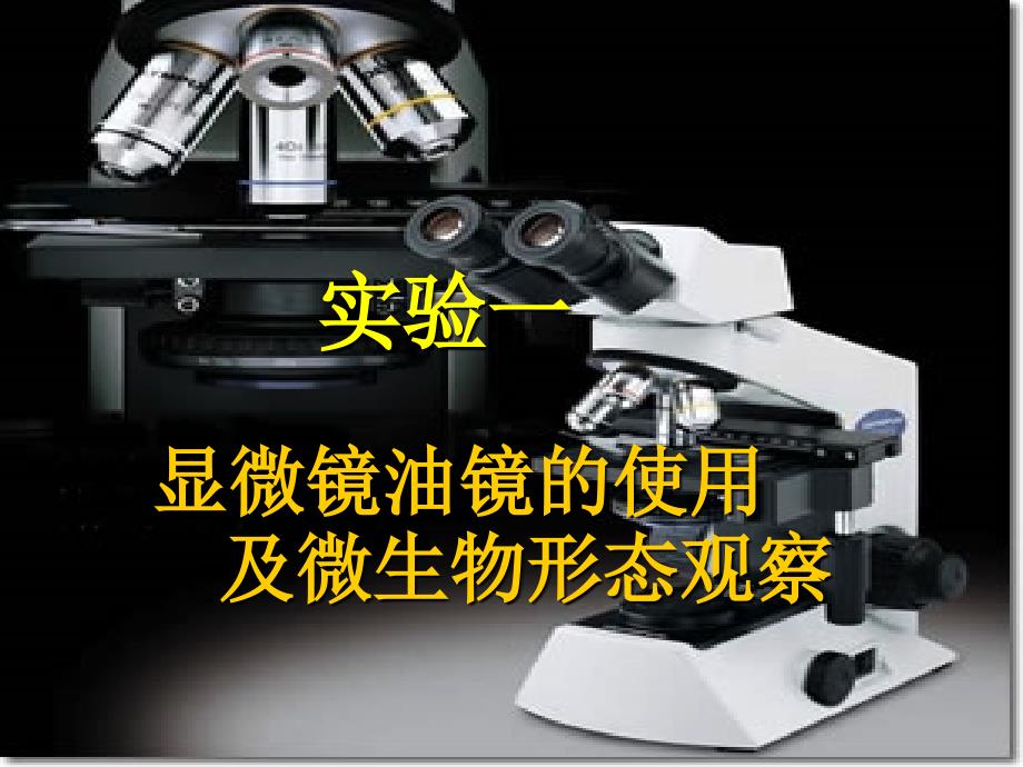 实验一显微镜油镜的使用及微生物形态观察_第1页