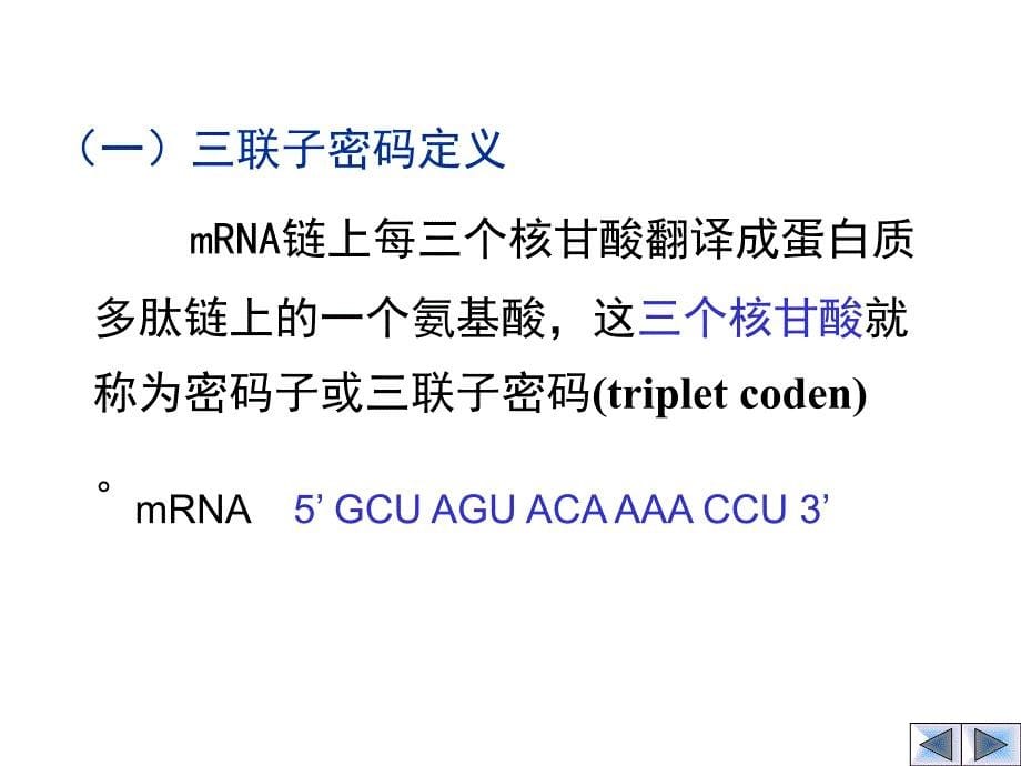 第四章mRNA到蛋白质_第5页