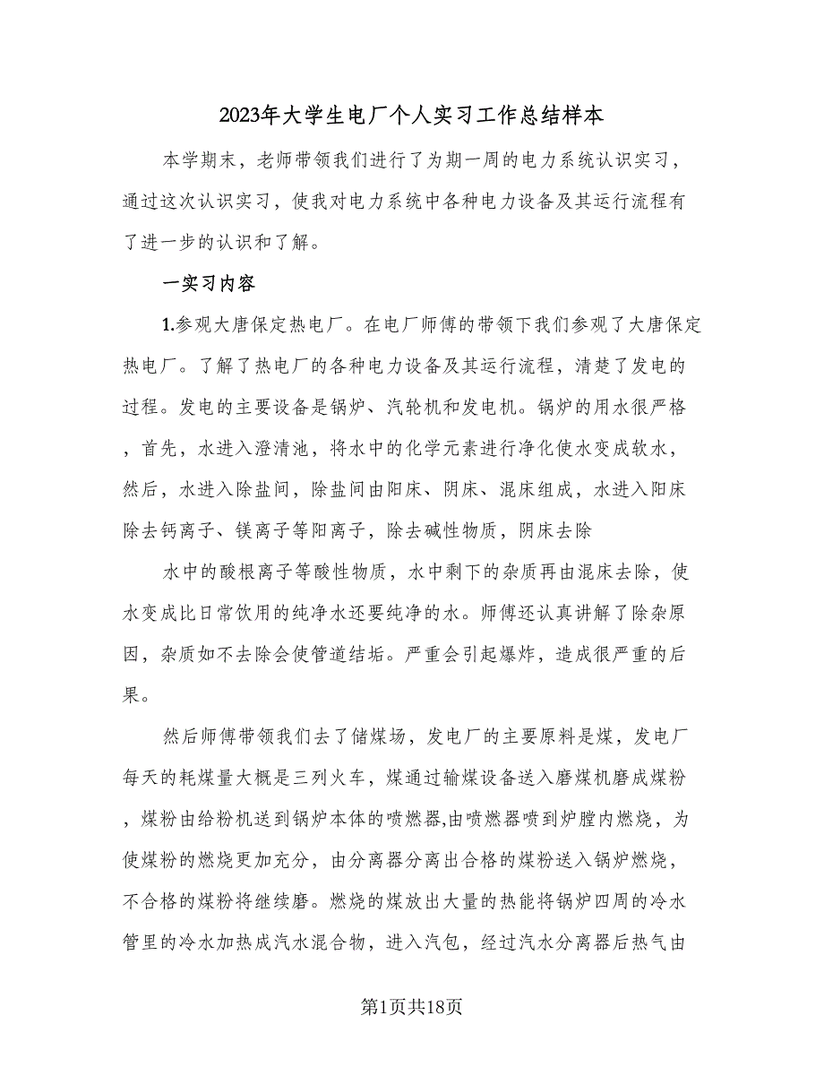 2023年大学生电厂个人实习工作总结样本（6篇）_第1页