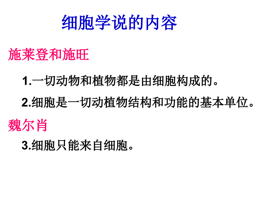 苏教版教学课件苏教版必修一细胞的类型和结构.ppt_第3页