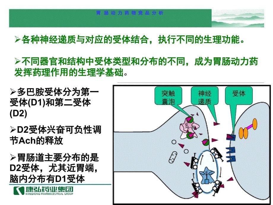 胃肠动力药物背景分析PPT课件_第5页