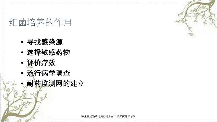 微生物检验如何更好地服务于临床抗感染诊治_第3页