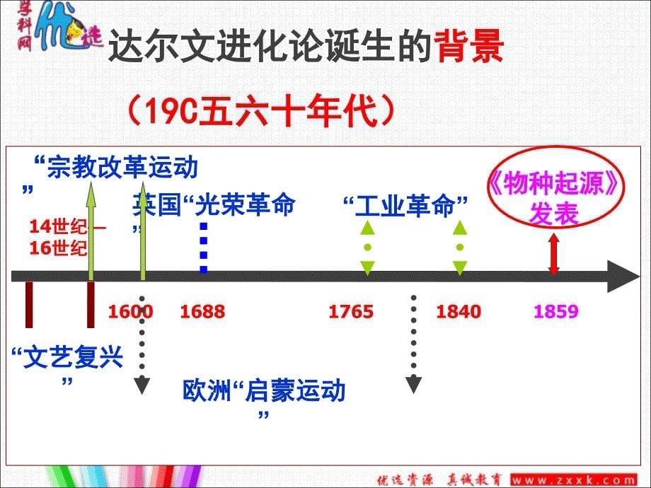 【第12课探索生命起源之谜_第5页