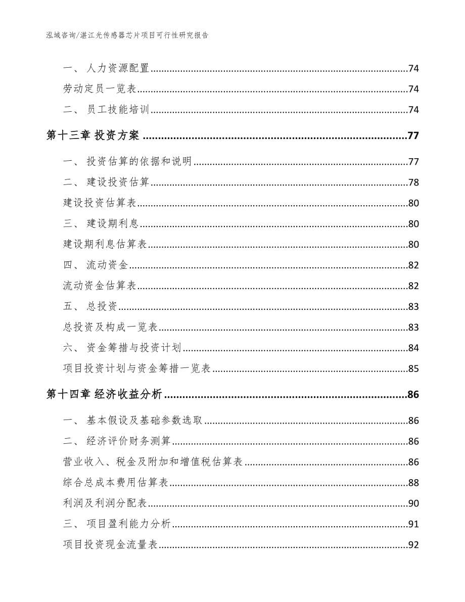 湛江光传感器芯片项目可行性研究报告（模板）_第5页