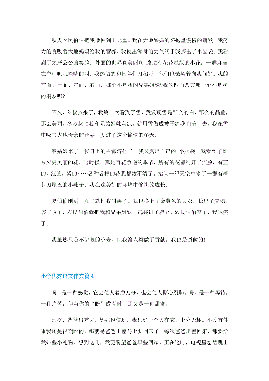 小学优秀语文作文7篇_第3页