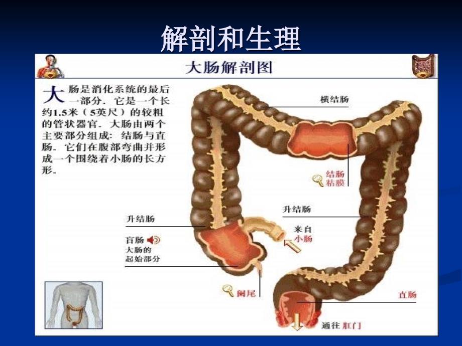 炎症性肠病大肠疾病的护理 ppt课件_第2页