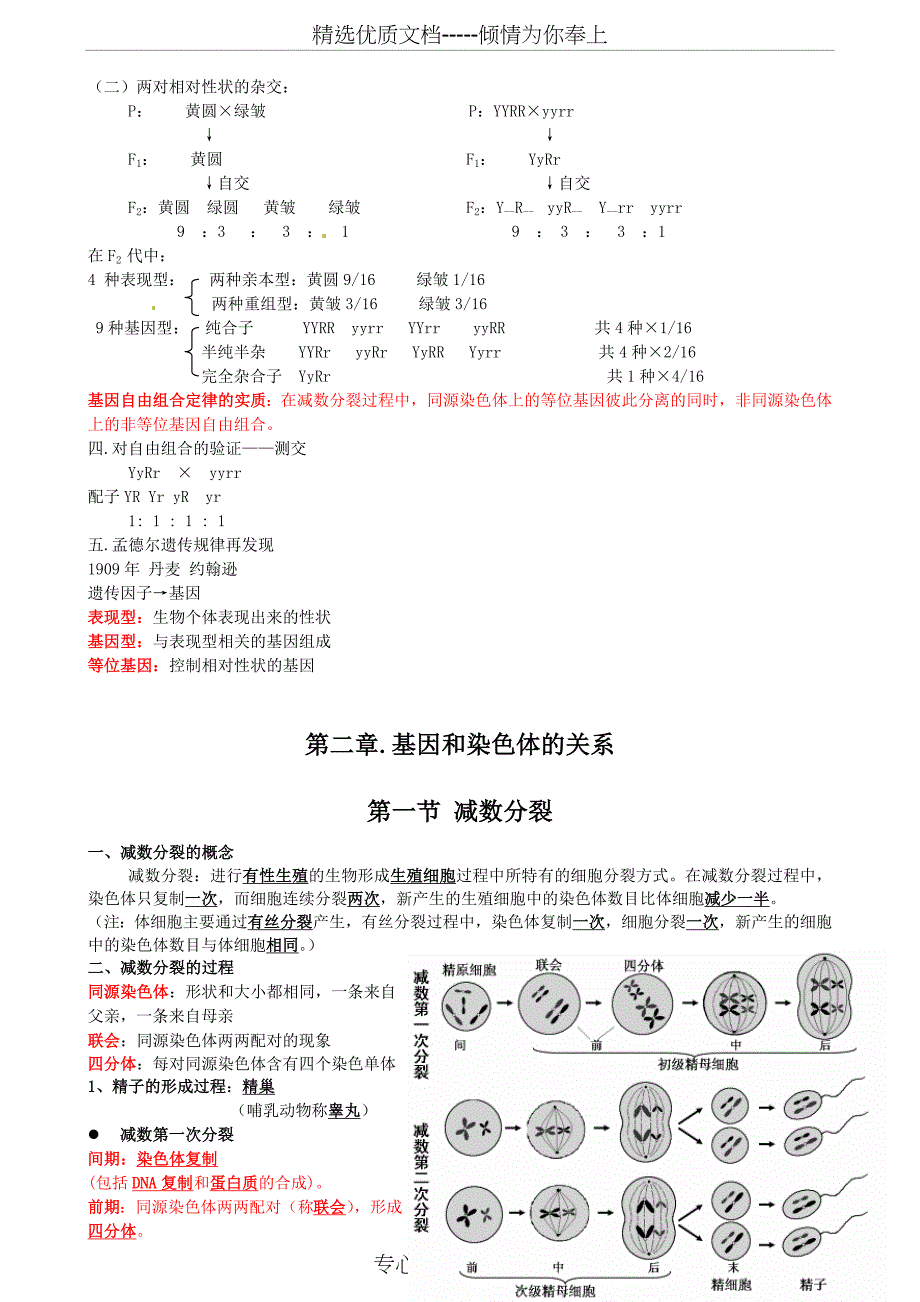 高中生物必修二知识点整合_第2页