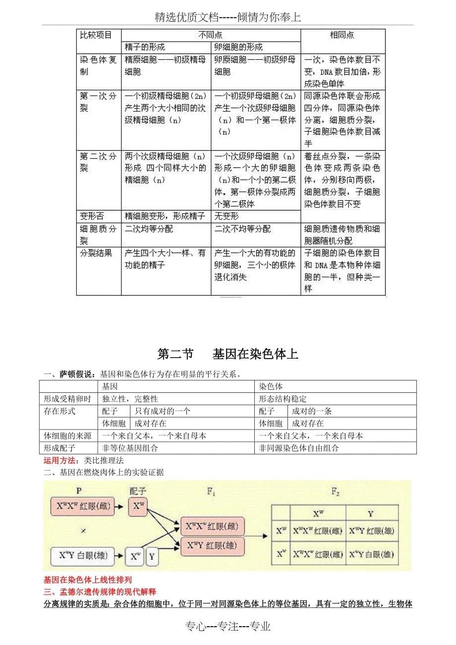 高中生物必修二知识点整合_第5页