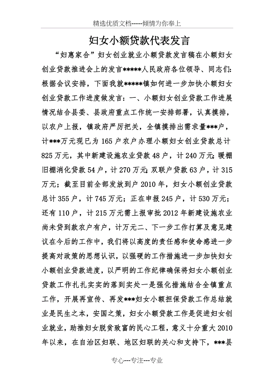 妇女小额贷款代表发言_第1页