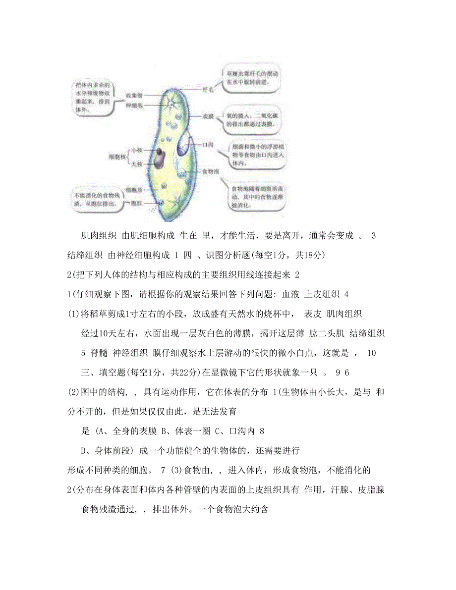 最新七年级生物上册单元检测三含答案人教版ァ名师优秀教案_第4页