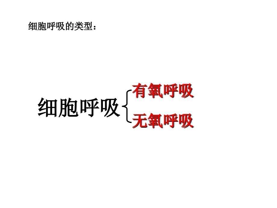 细胞呼吸第一课时课件.ppt_第5页