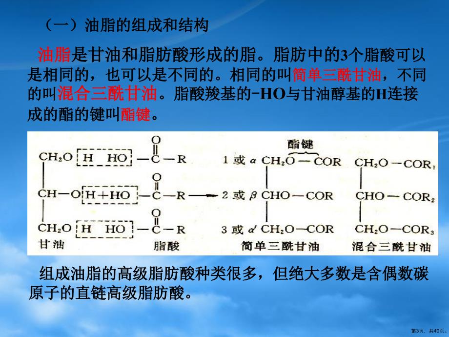 第四章脂类及脂类代谢课件_第3页