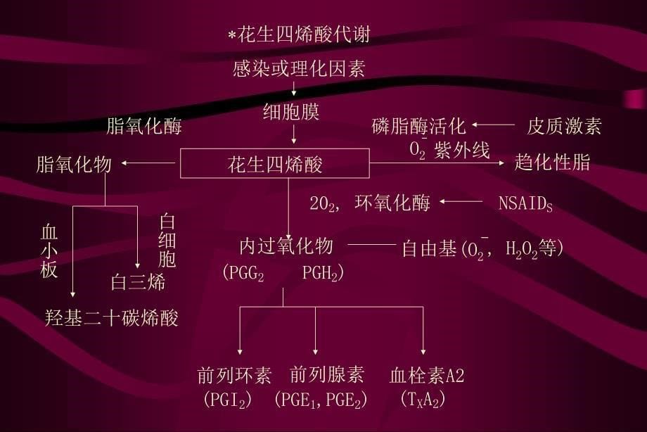 非甾体类抗炎药的分类与临床应用_第5页