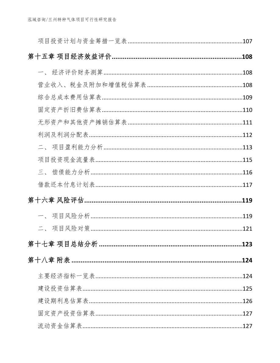 兰州特种气体项目可行性研究报告【范文参考】_第5页