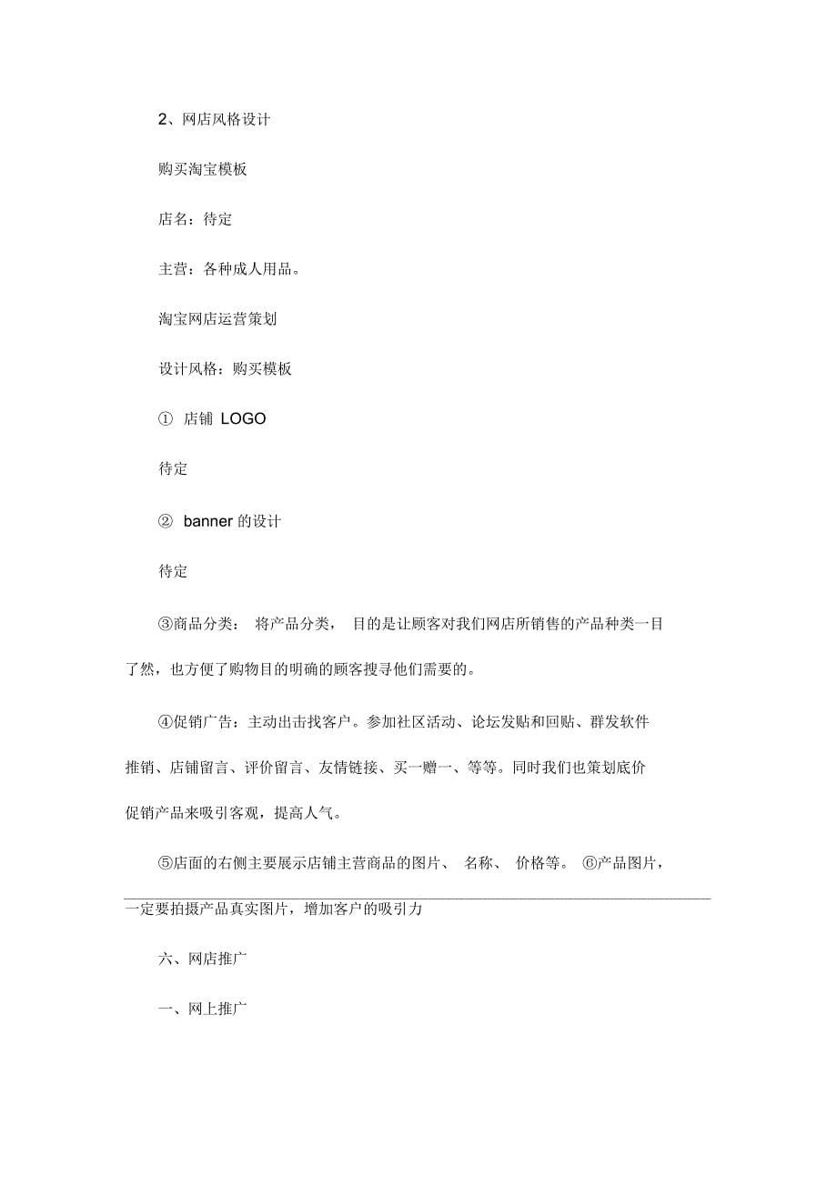 淘宝网店运营策划书_第5页