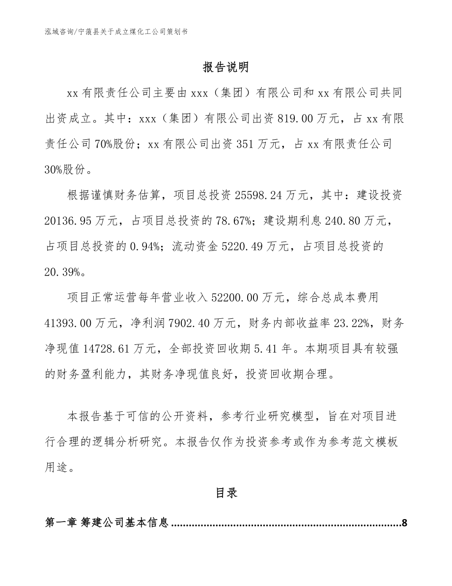 宁蒗县关于成立煤化工公司策划书模板范本_第2页