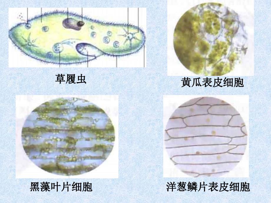 长沙市岳麓实验中学_第2页