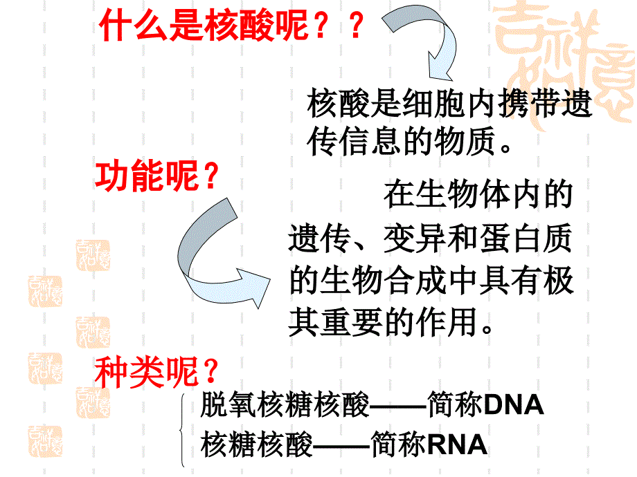 【生物】23遗传信息的携带者——核酸课件1（人教版必修1）_第3页