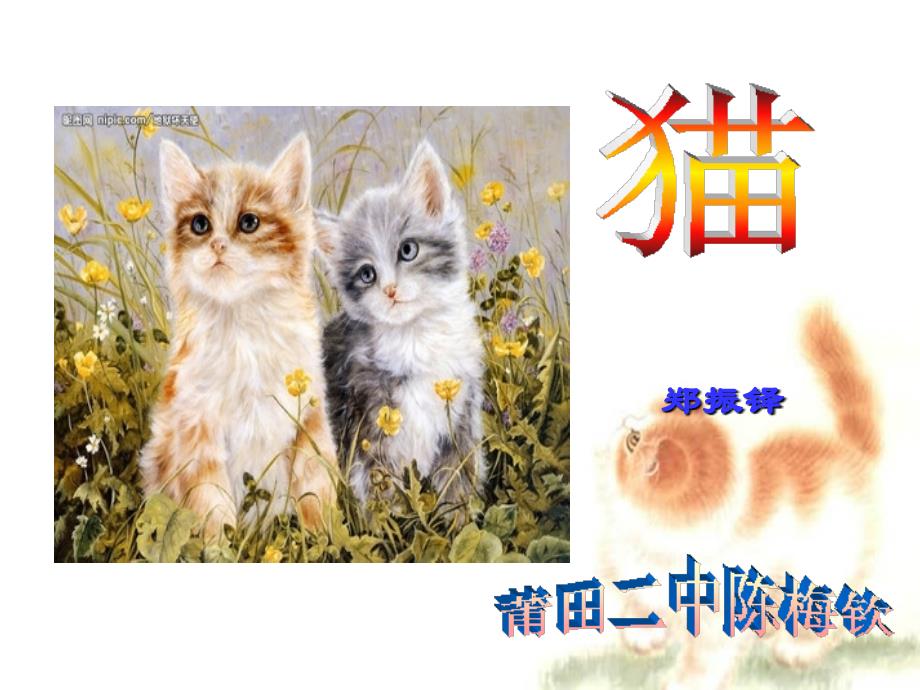 《猫》第二课时课件_第1页