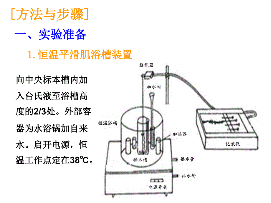 离体小肠平滑肌的生理特性_第3页