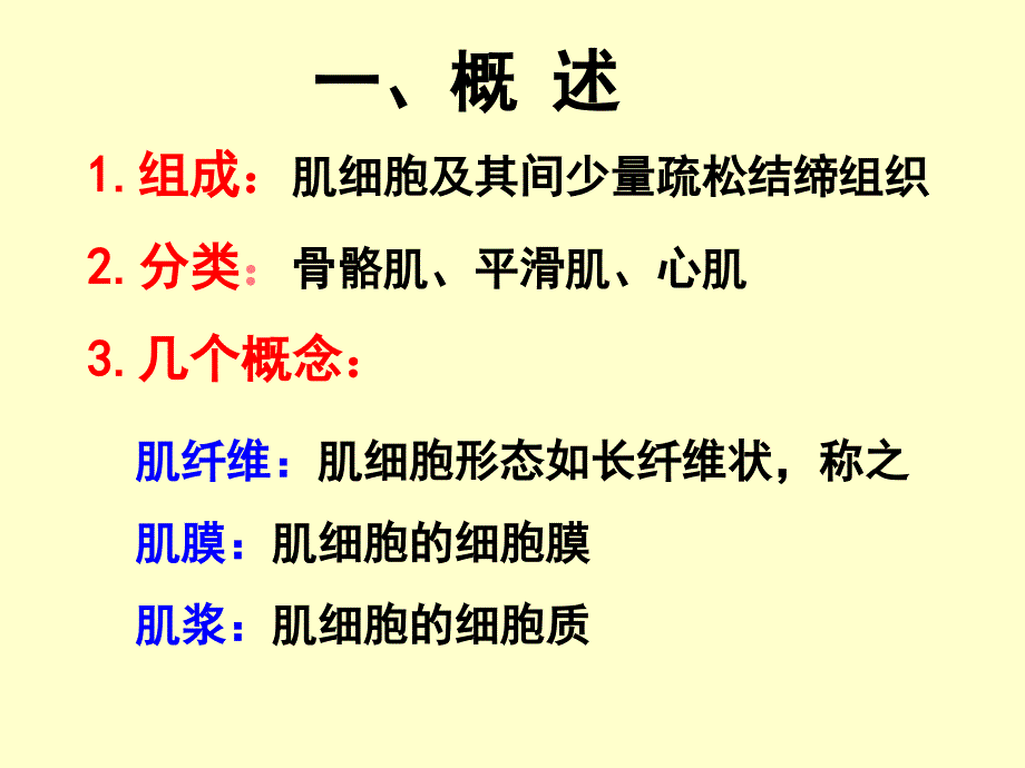 3肌肉组织PPT文档资料_第1页