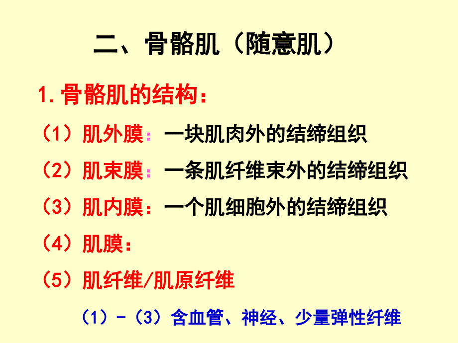 3肌肉组织PPT文档资料_第2页