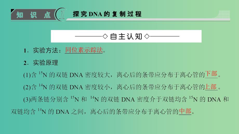 高中生物 第3章 遗传的分子基础 第3节 遗传信息的传递课件 浙科版必修2.ppt_第3页