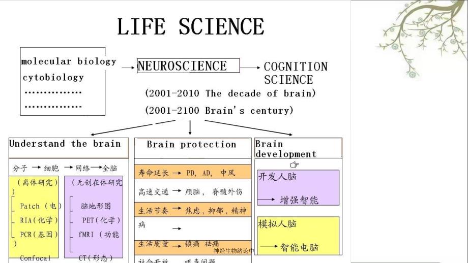 神经生物绪论中_第4页