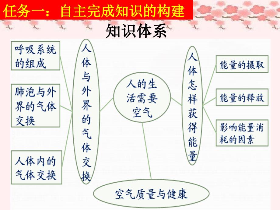 七年级生物下册第二章人的生活需要空气复习课课件济南版.ppt_第3页