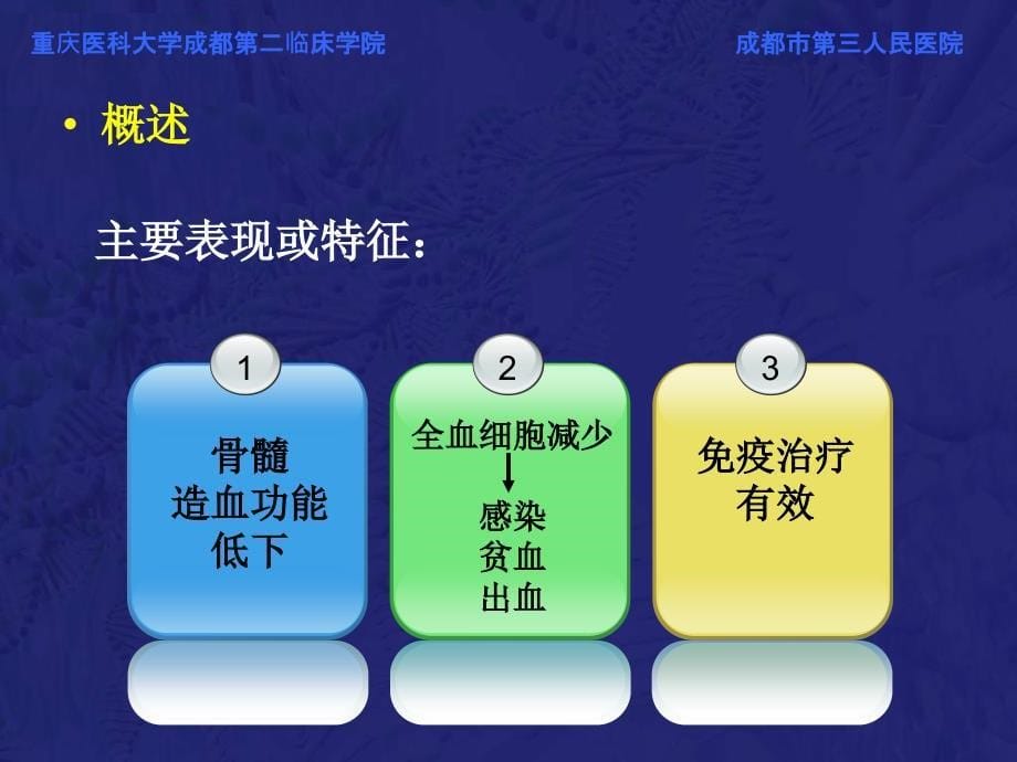 再生障碍性贫血教学PPT_第5页