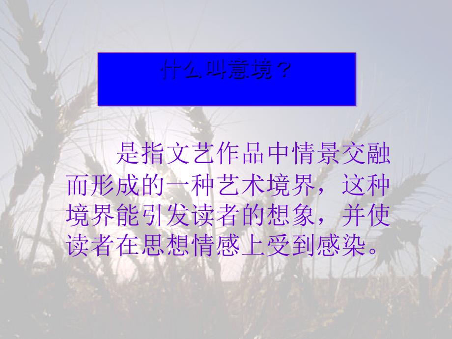 高考语文复习 诗歌阅读 课件_第2页