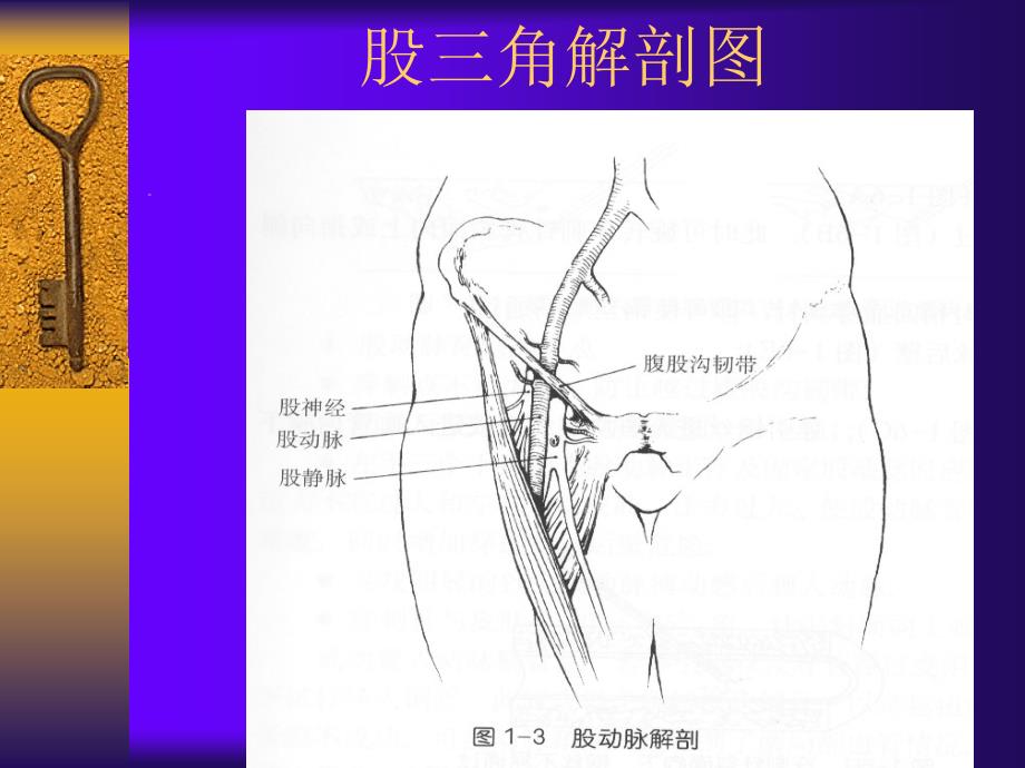 医学专题：冠脉造影穿刺(选)_第4页