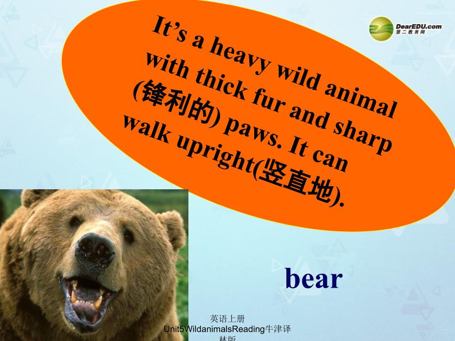 英语上册Unit5WildanimalsReading牛津译林版课件_第4页